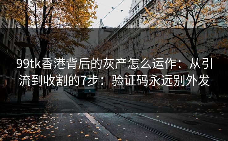 99tk香港背后的灰产怎么运作：从引流到收割的7步：验证码永远别外发